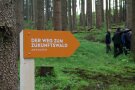 Weg zum Zukunftswald Schild